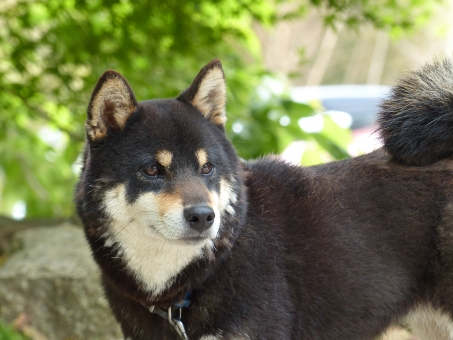 どうぞ安らかに