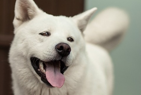 2022年9月13日　姫路市