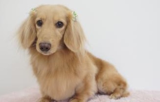 2022年9月13日　たつの市